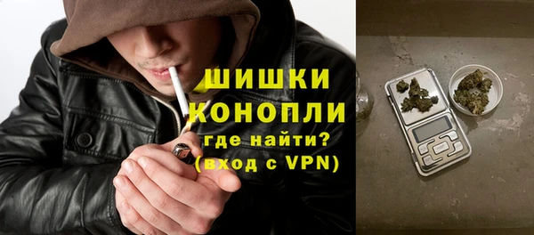 гашик Белокуриха