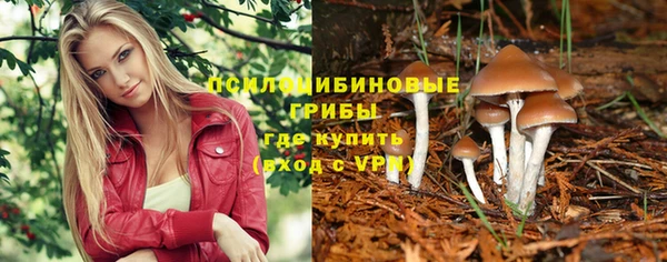 гашик Белокуриха