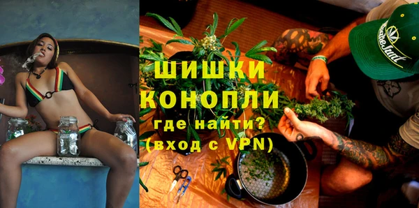 гашик Белокуриха