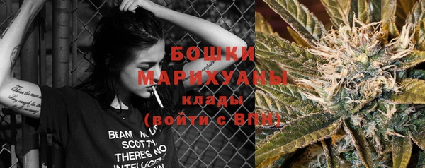 гашик Белокуриха