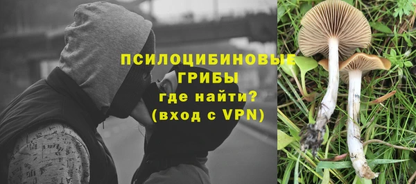 гашик Белокуриха